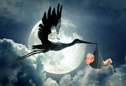 Stork brings Tom
